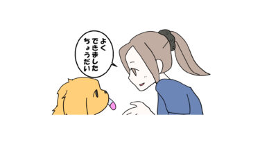 犬　４コマ漫画　【犬とおもちゃ遊び】